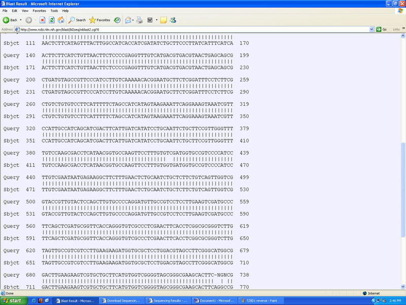 File:T28D2 reverse.bmp