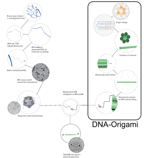 File:LMU2013 tree origami1.png