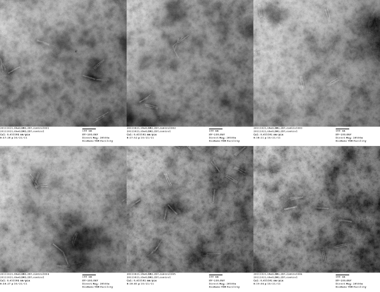 File:20111021 theU BM2 2B7 control.png