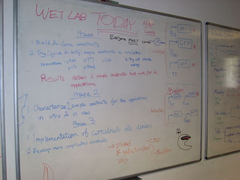 File:IC07 image035.jpg