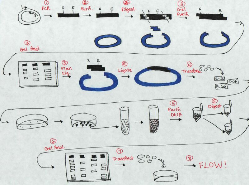 File:Mod 1 drawing.jpg