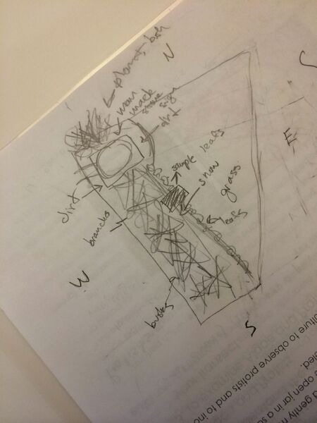 File:Aerial-view of transect.jpg