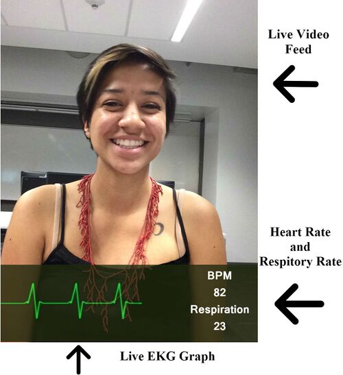 Labeled Mock-up Design of our App "Face the Facts" information page