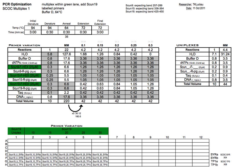 File:20111011 PCRb.png