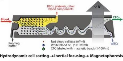 Figure 11. Schematic of CTC-iChip for separation of circulating tumor cells from whole blood [8]