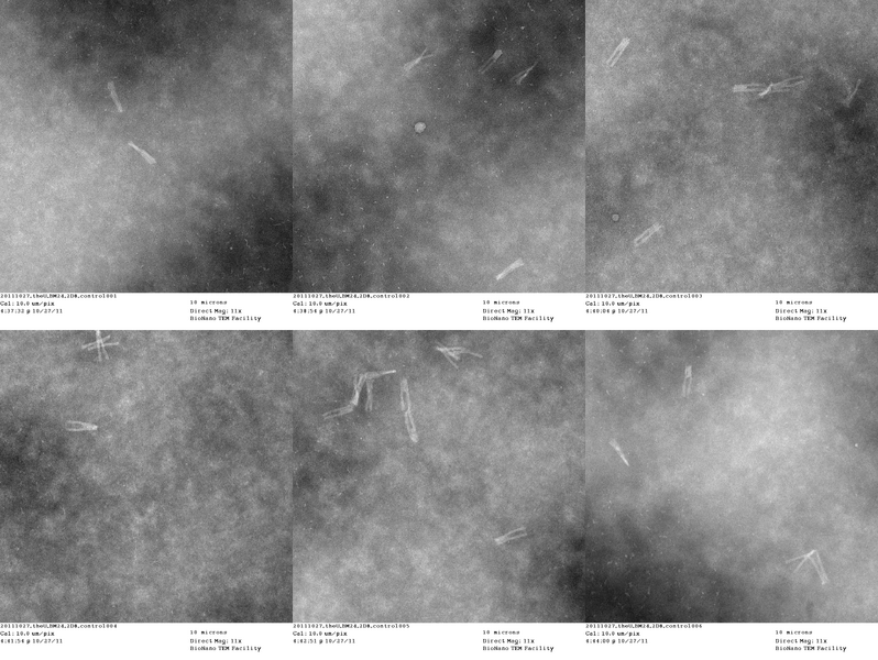 File:20111027 theU BM24 2D8 control024.png