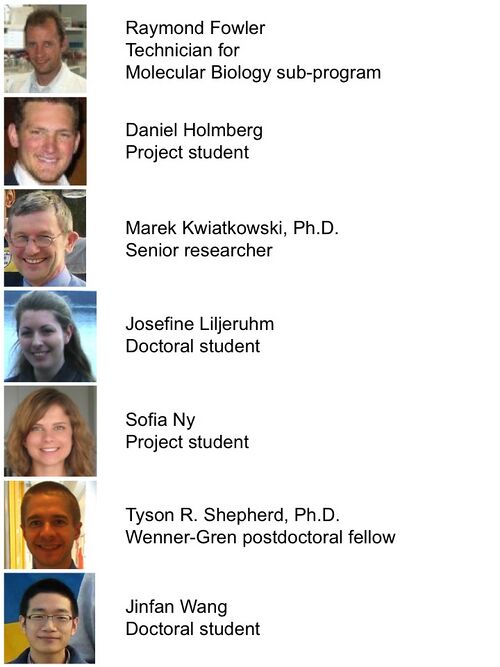 Minimal Cell Project