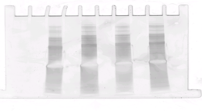 File:G X,A,A1 T A1.png