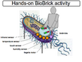 Thumbnail for version as of 18:03, 6 June 2007