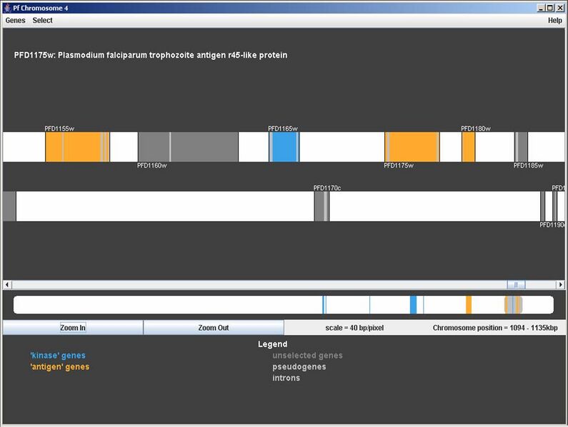 File:Magnet chr viewer.jpg