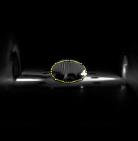 Description of image