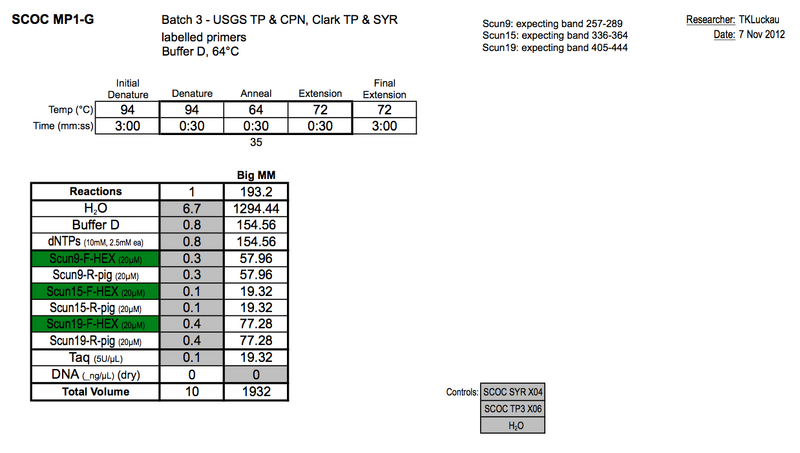 File:20121107 PCR.png