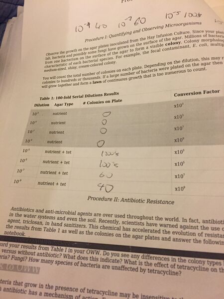 File:BME103 Group2 Tot.jpg