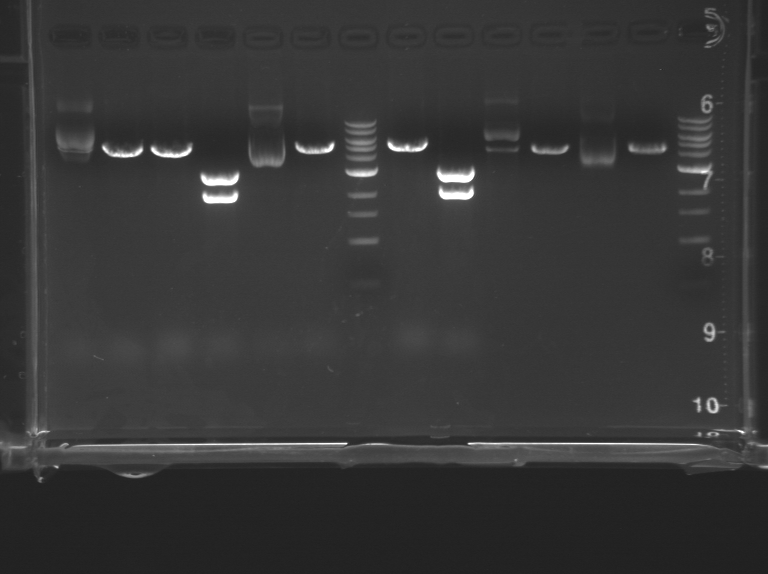 File:TR Green DD20109 F14.bmp