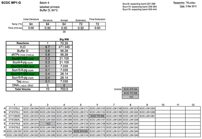 File:20130305 PCRb.png