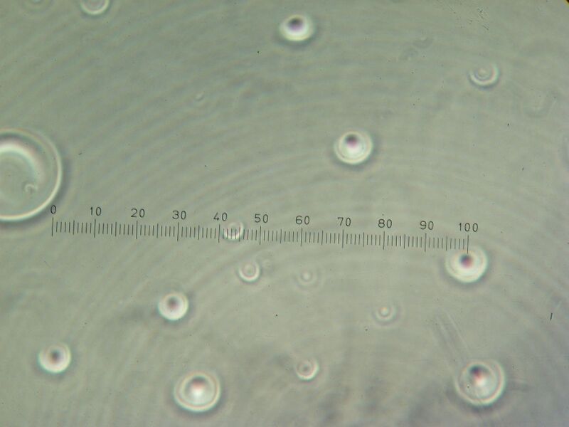 File:IC07 image078.jpg