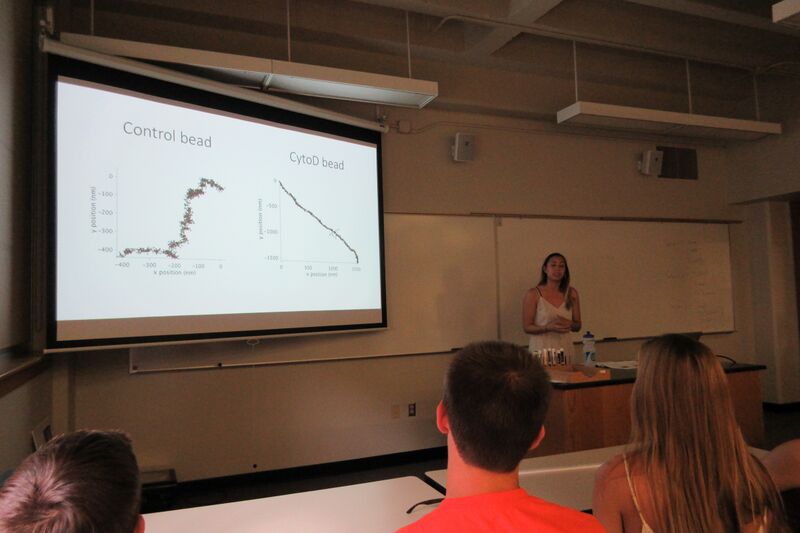 File:Marika Thesis.jpg