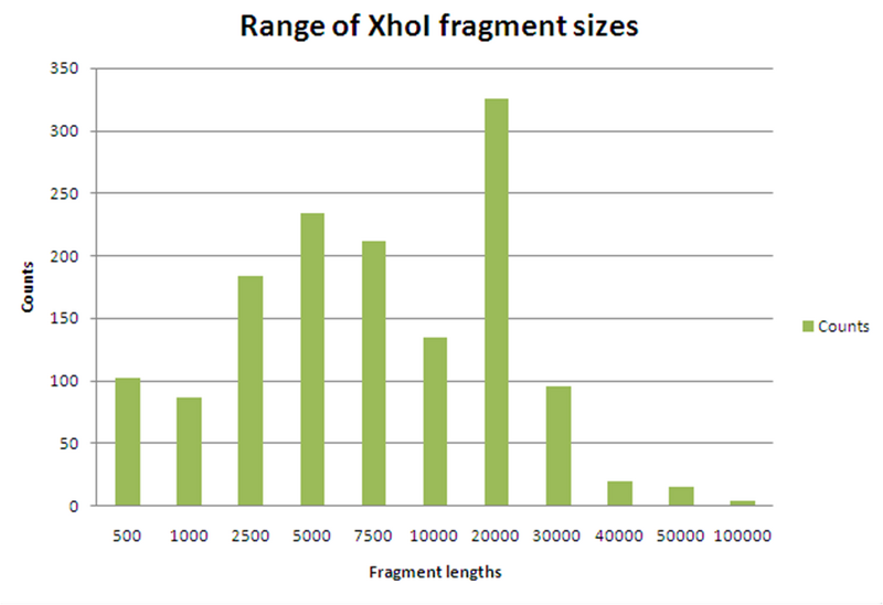 File:Xhoi fragment histogram.png