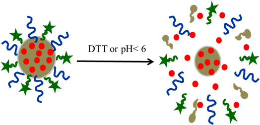 File:Xu lab PDA-DOX.tiff