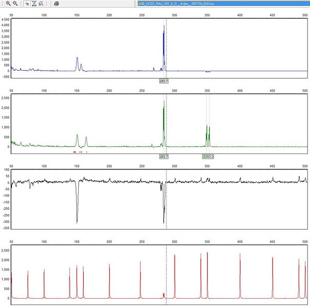 File:20110701 FragRAJ.jpg