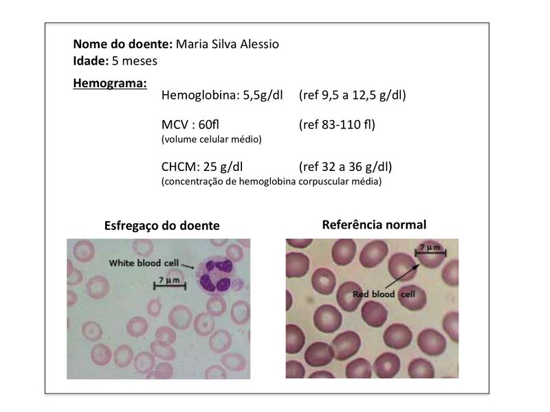 File:BIOMOL LCS Dados1.jpg