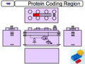 Thumbnail for version as of 18:22, 6 June 2007