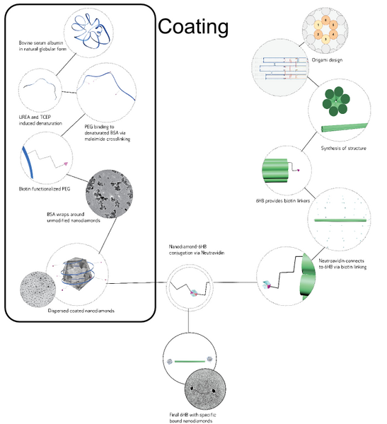 File:LMU2013 tree coating.png