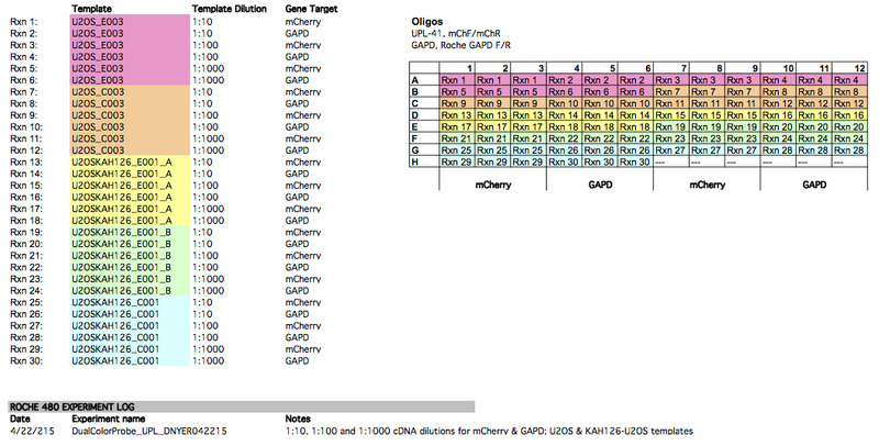 File:PCR Plate layouts Nyer Expt01.png