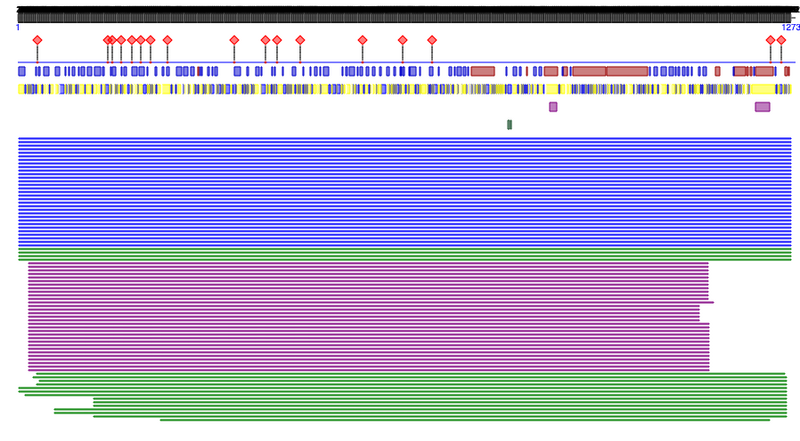 File:PredictProtein SARS-CoV-2 Predictions.png