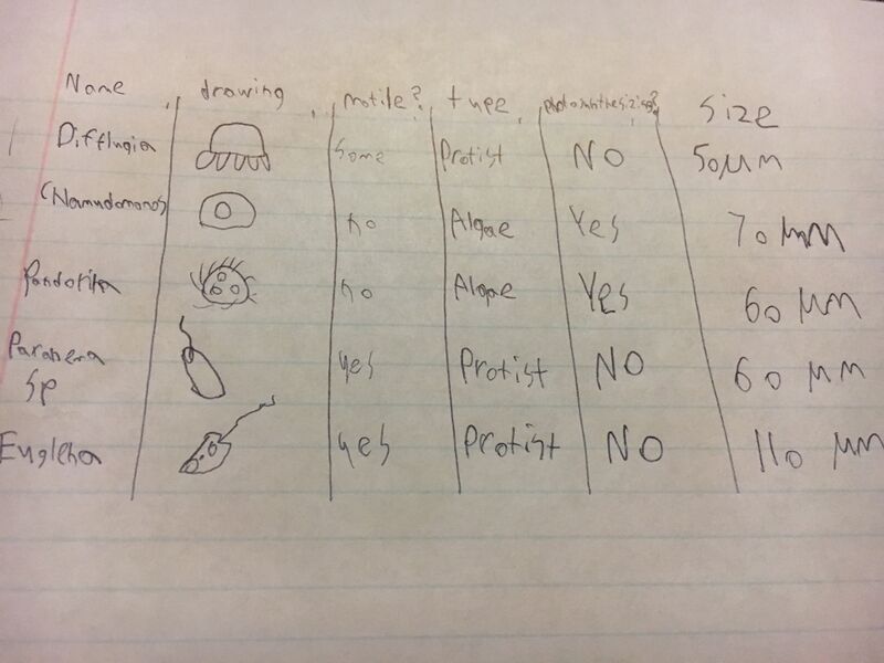 File:Biolab chart.jpg