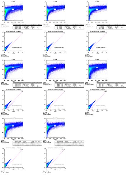 File:Blue WF Flow.jpg