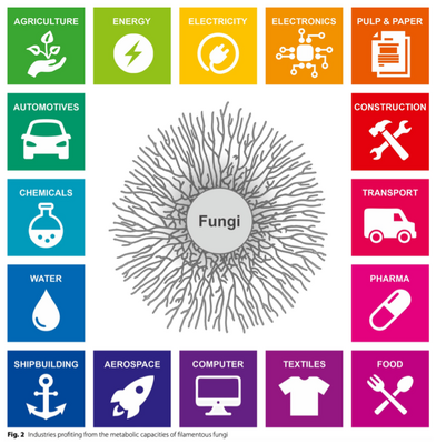Filamentous fungi enable many industries, Meyer et al. 2020. Creative Commons Attribution 4.0 International License. No modifications.