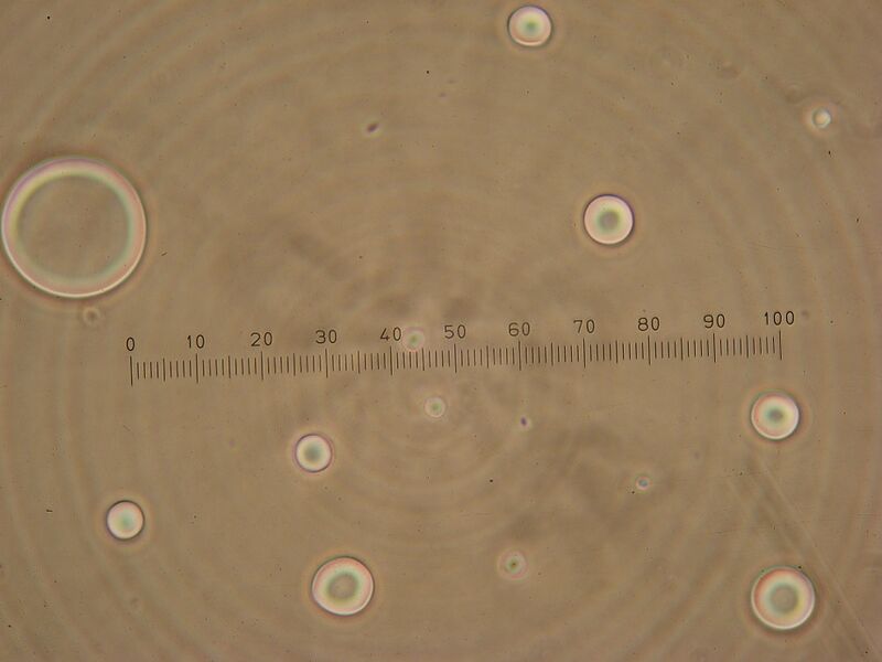 File:IC07 image079.jpg