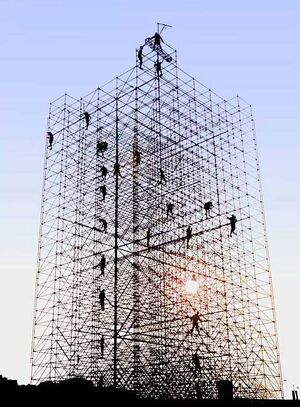 3D Scaffold