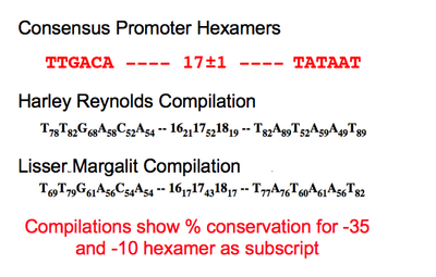 promoter characterization table