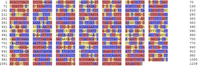 File:UIUC ArsRSDM1 sequence.jpg