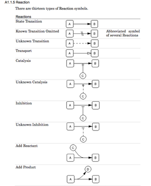 CellDesigner Reaction Symbols