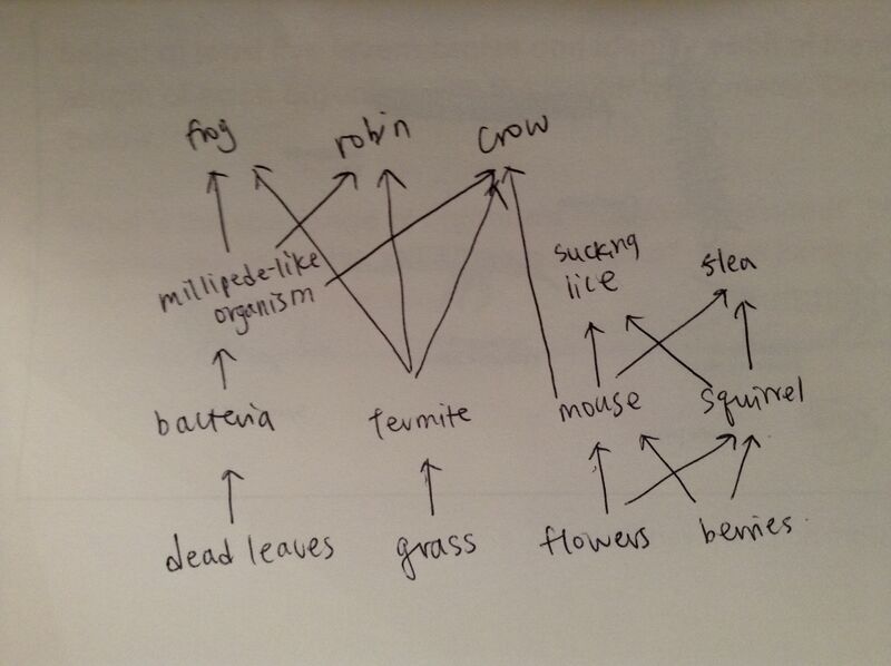 File:Chang Food web.JPG