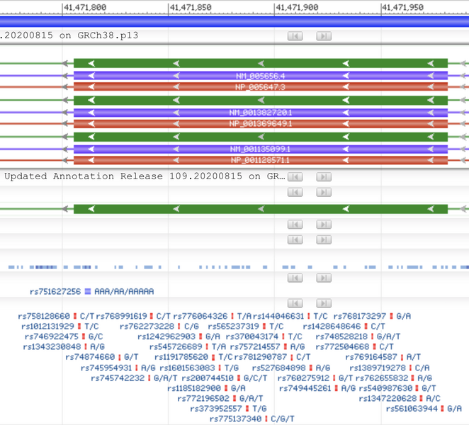 File:Exon10 DaMota.png