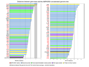 Figure DW1, Tree topology comparisons between individual gene trees and the AMPHORA concatenated genome tree