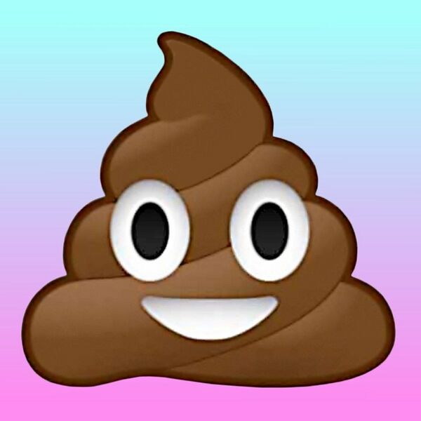 File:Poop.jpg