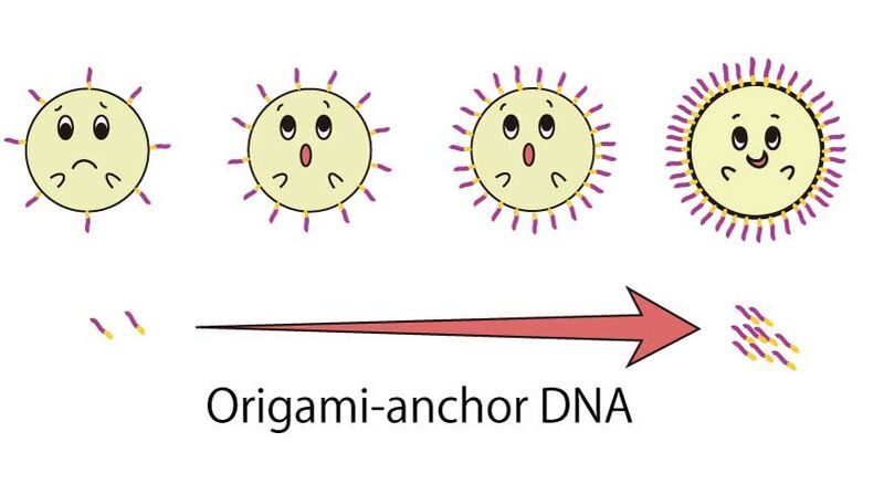 File:もじゃリポ禿げリポ.jpg