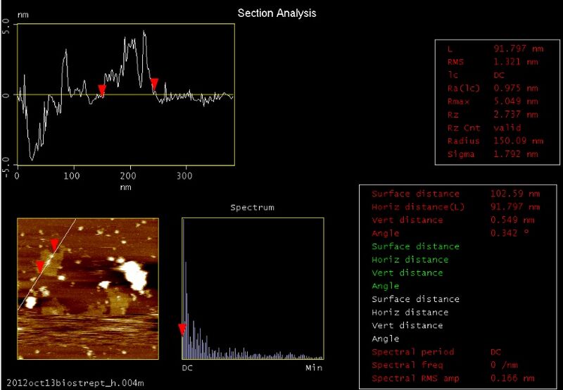 File:Biomod-2012-UToky​o-UT-Hongo-AFM closeSA analysis4.jpg