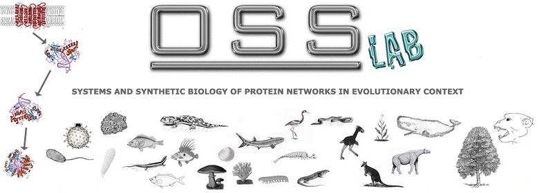 File:Header extnded04.jpg