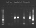 Thumbnail for version as of 18:48, 3 November 2011