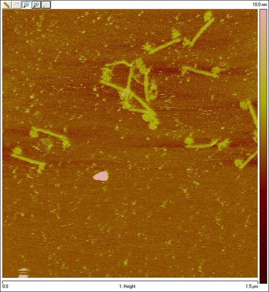 File:Old UtoK LK.001.jpg