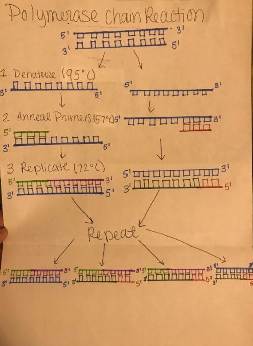 Description of image