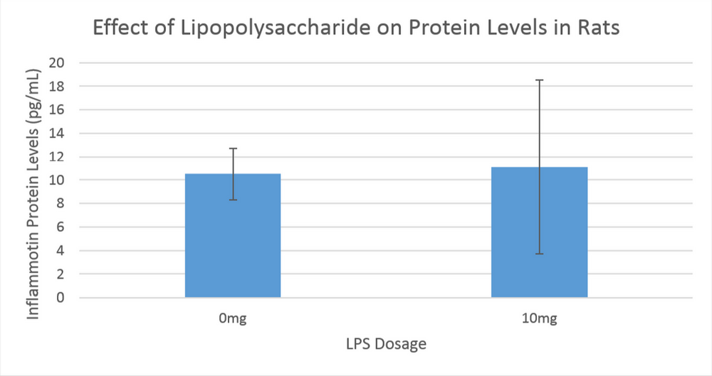 Bar Graph Displaying Effect of Lipopolysaccharide on Inflammotin Protein Levels in Rats