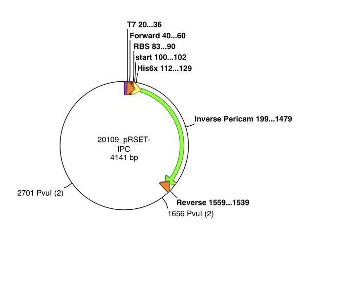 File:20109 pRSET-IPC-ParentMap.jpg