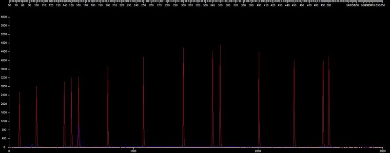 File:20110323 Frag TP3-G.jpg